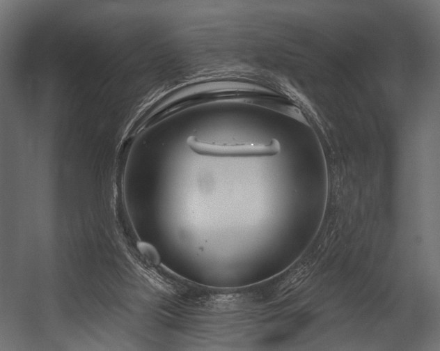 X0000054420059200508011408