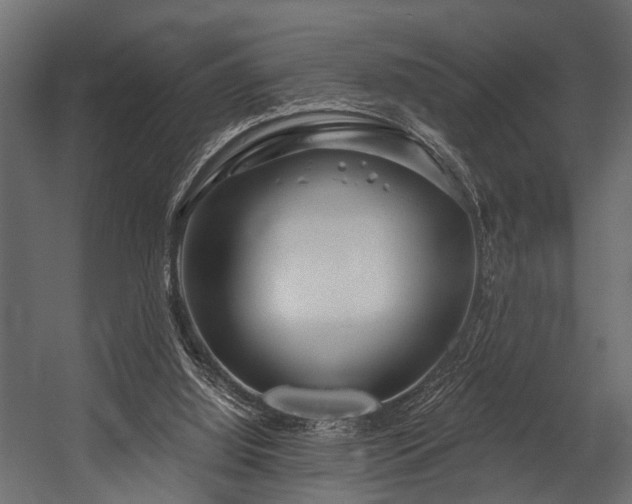 X0000054420060200508011408