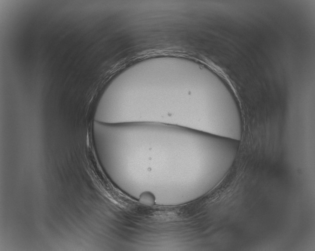 X0000054420061200508011408