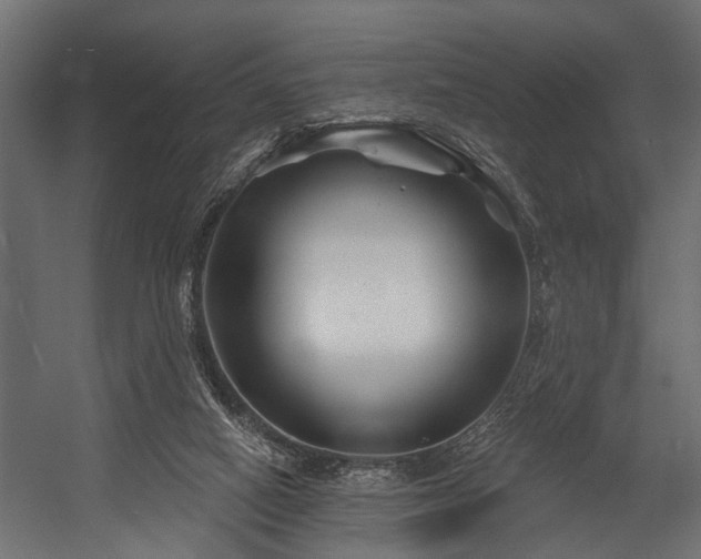 X0000054420066200508011408