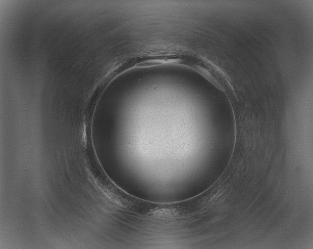 X0000054420067200508011408