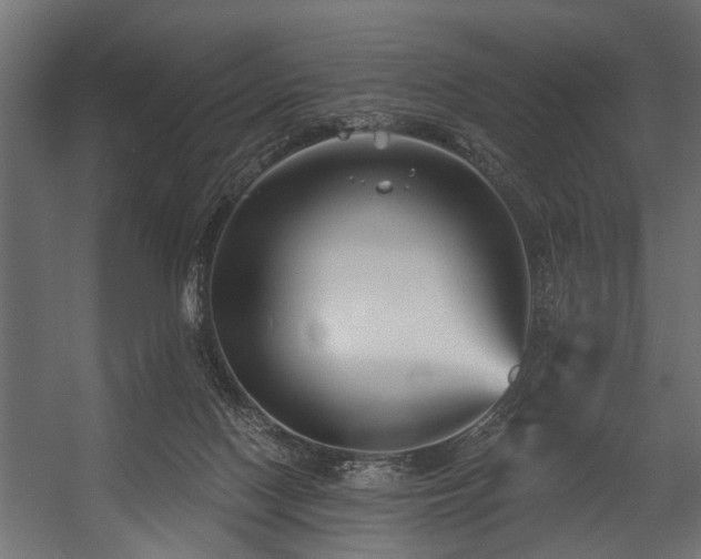 X0000054420074200508011408