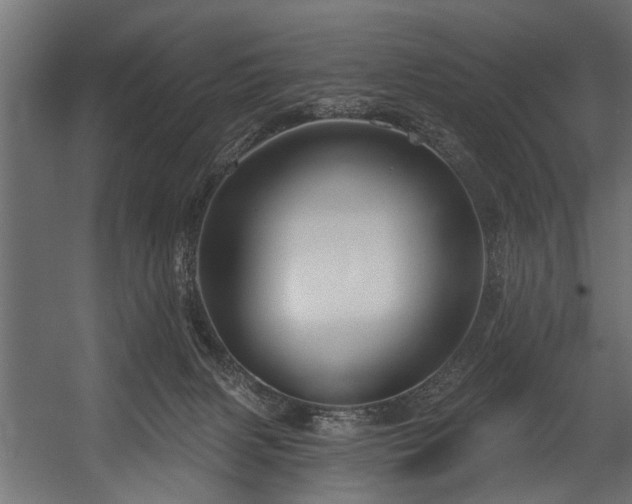 X0000054420079200508011408