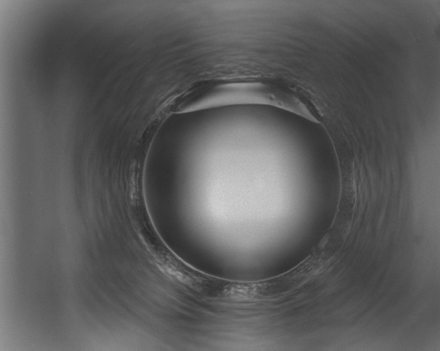 X0000054420084200508011409