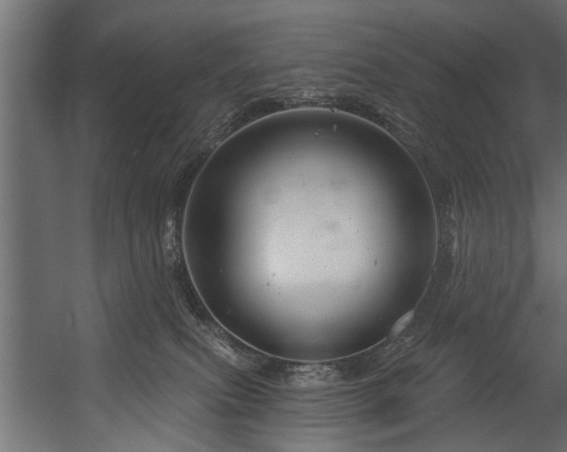 X0000054420087200508011409