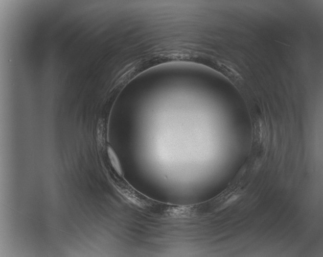 X0000054420092200508011409