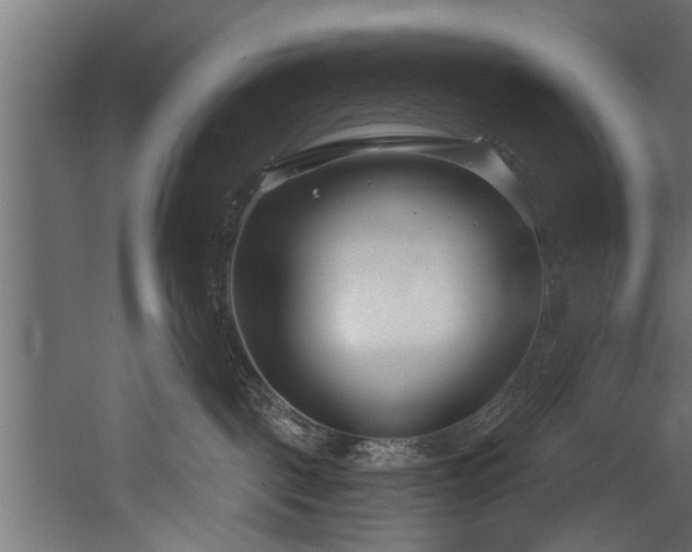 X0000054420093200508011409