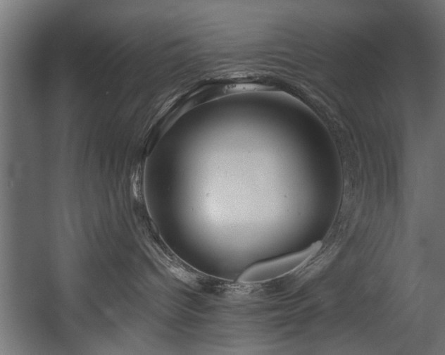 X0000054420096200508011409