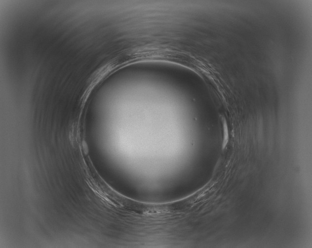 X0000054420099200508011408