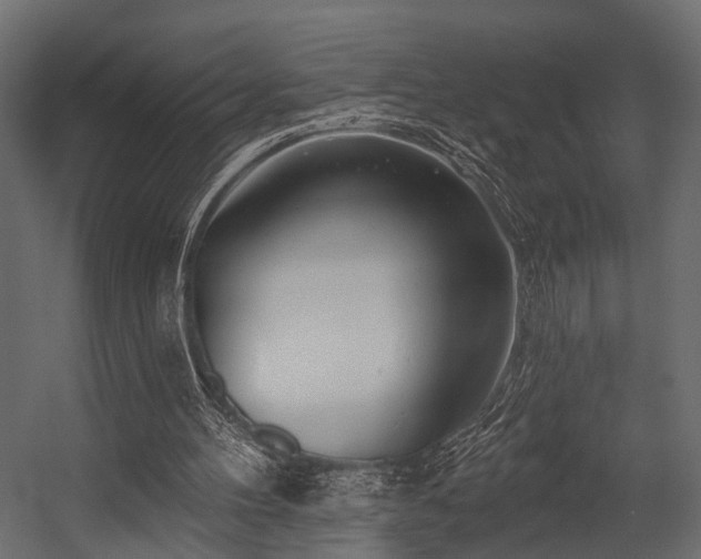 X0000054420100200508011408