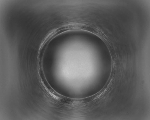 X0000054420101200508011408