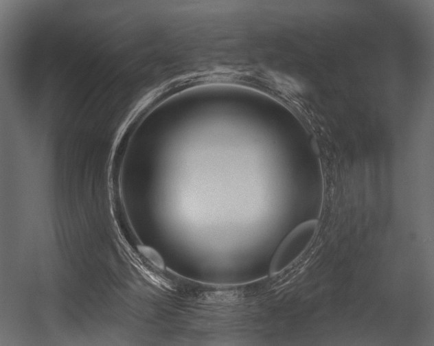 X0000054420102200508011408