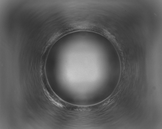 X0000054420106200508011408