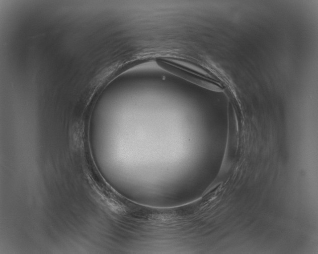 X0000054420107200508011408