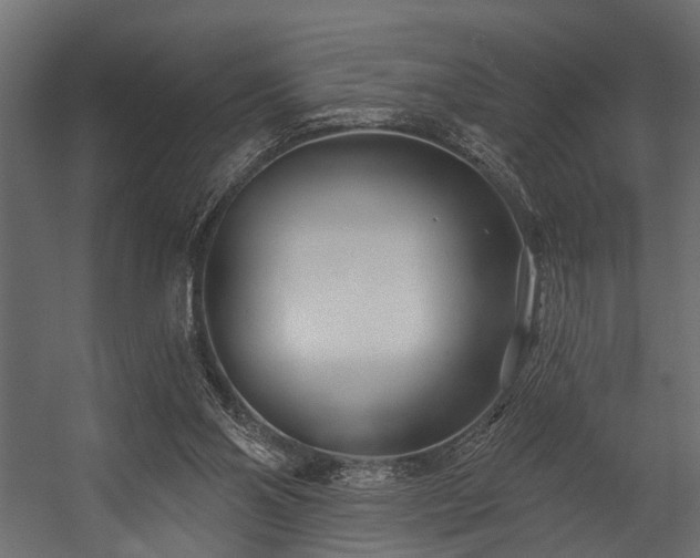 X0000054420110200508011408