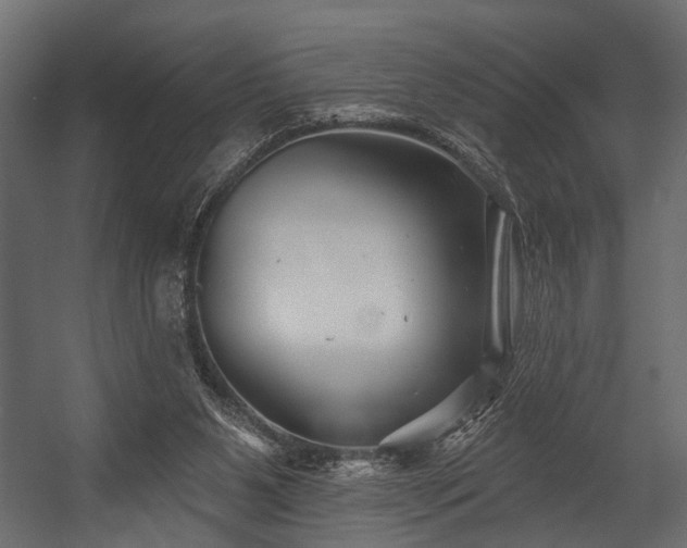 X0000054420111200508011408