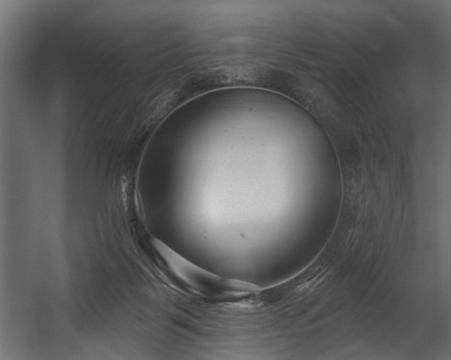 X0000054420123200508011407