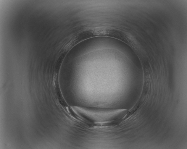 X0000054420125200508011407