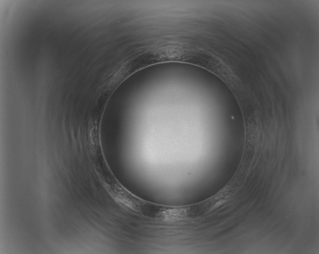 X0000054420126200508011407