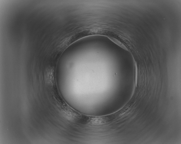 X0000054420127200508011407