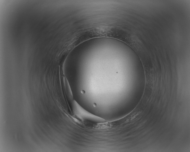 X0000054420131200508011407