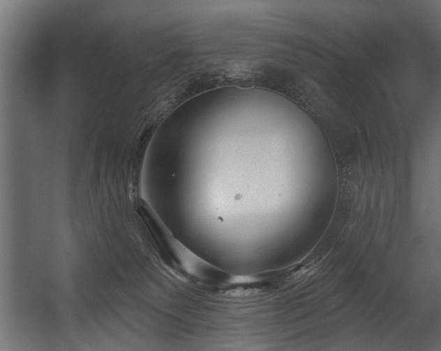 X0000054420135200508011407