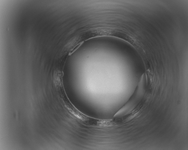 X0000054420141200508011407