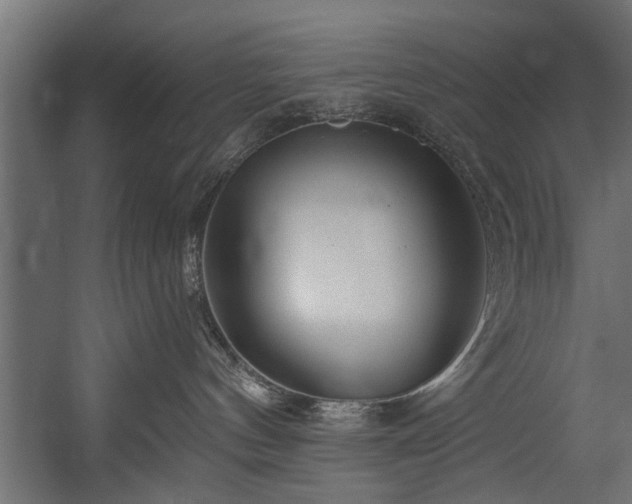 X0000054420144200508011407