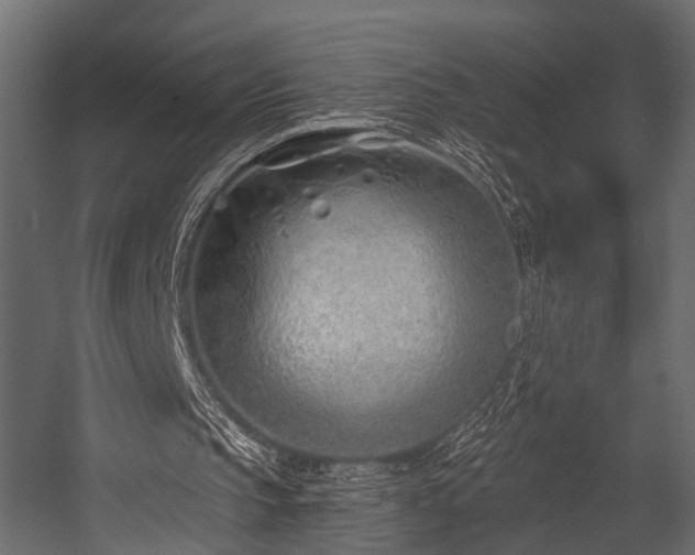 X0000054420145200508011406