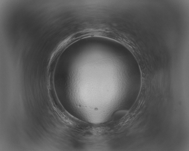 X0000054420149200508011406