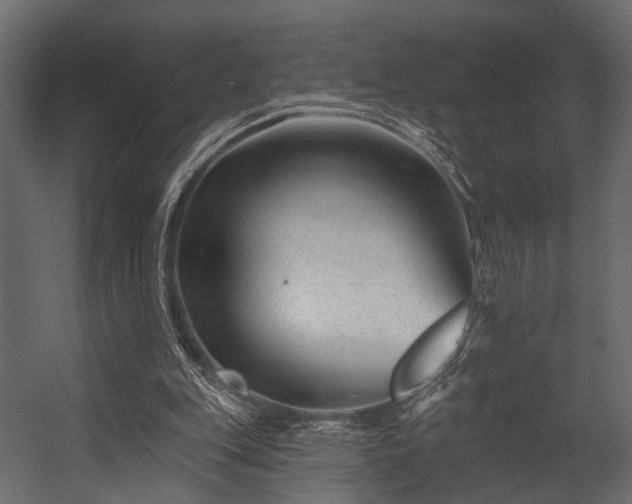 X0000054420151200508011406