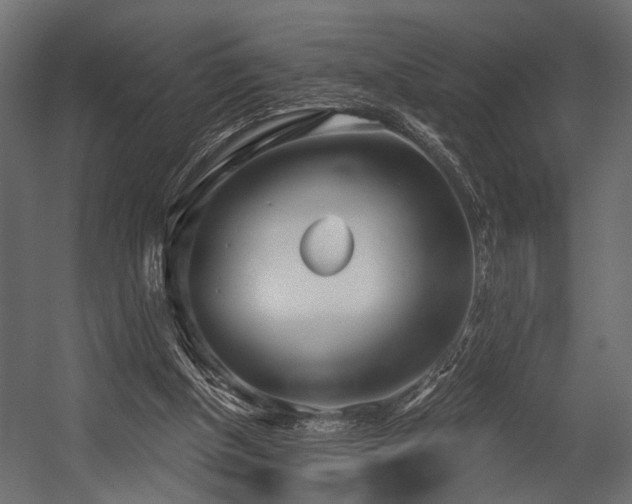 X0000054420154200508011406