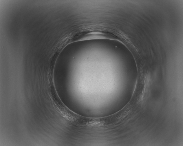 X0000054420161200508011407