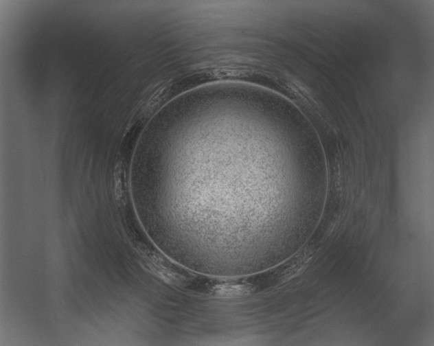 X0000054420169200508011407