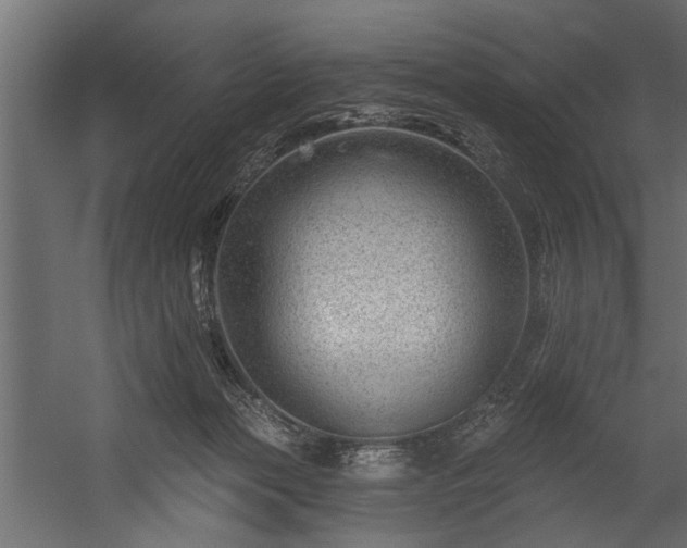 X0000054420173200508011407