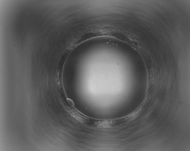 X0000054420182200508011407