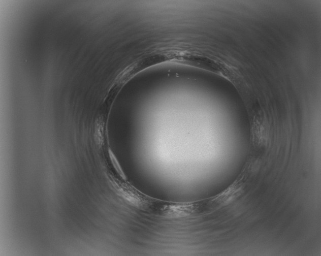 X0000054420188200508011407