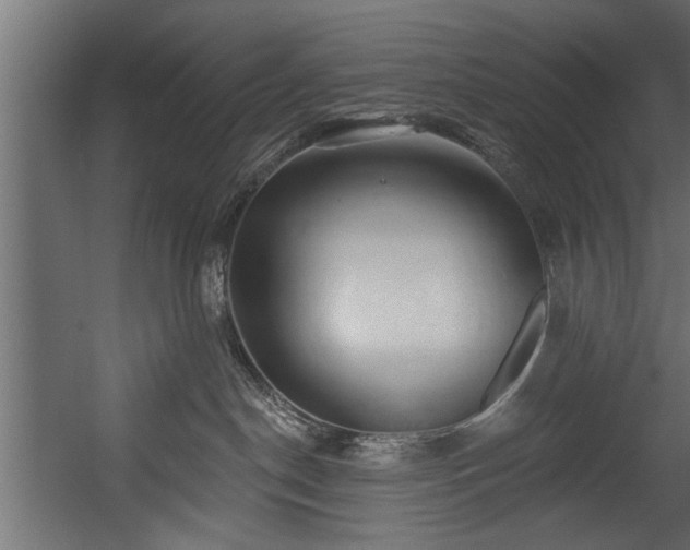 X0000054420190200508011407