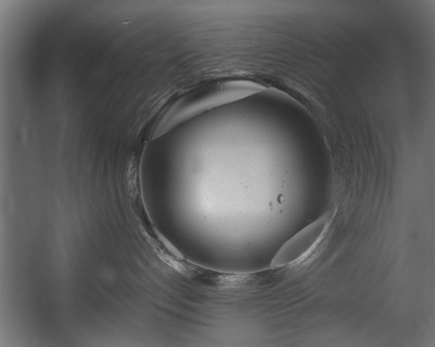 X0000054420192200508011407