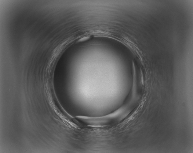 X0000054420193200508011406