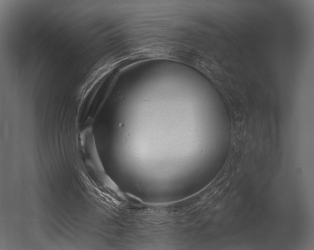 X0000054420194200508011406