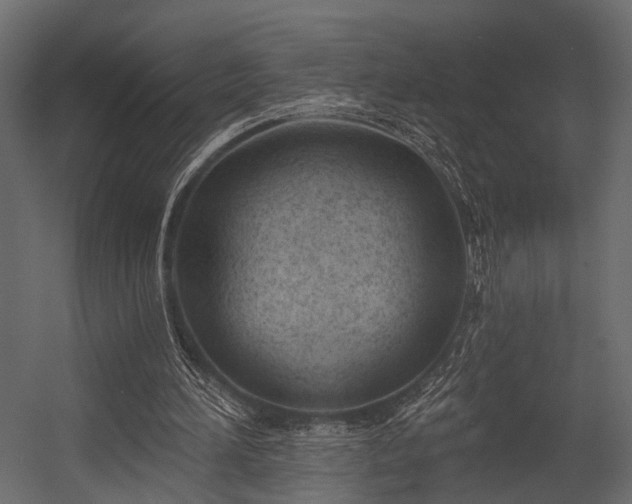 X0000054420196200508011406