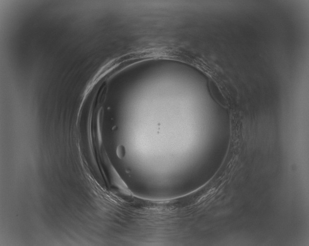 X0000054420198200508011406