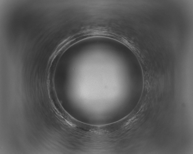 X0000054420199200508011406