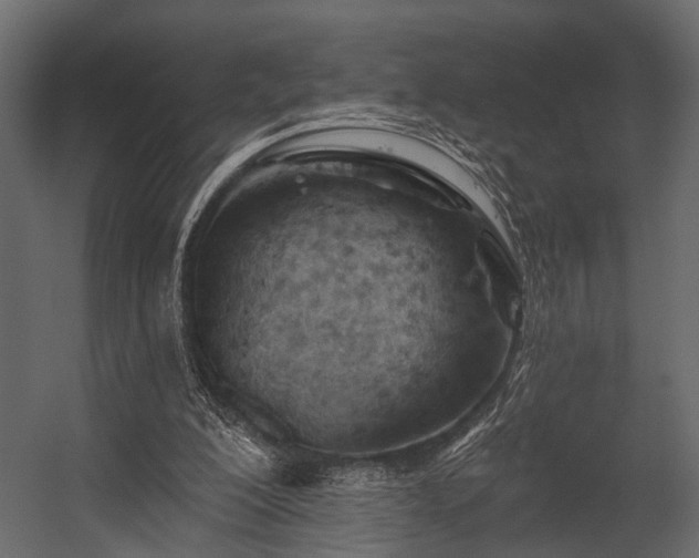 X0000054420200200508011406