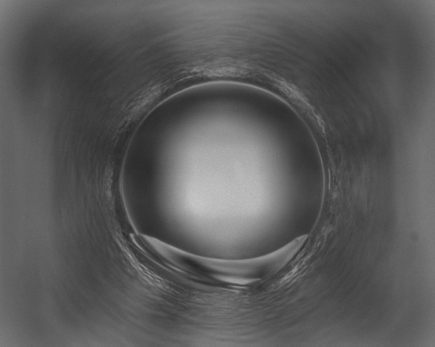 X0000054420201200508011406