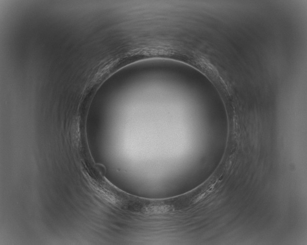 X0000054420202200508011406