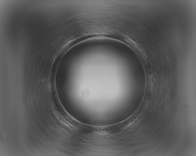 X0000054420203200508011406