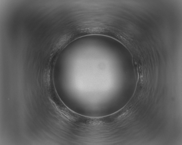 X0000054420206200508011406