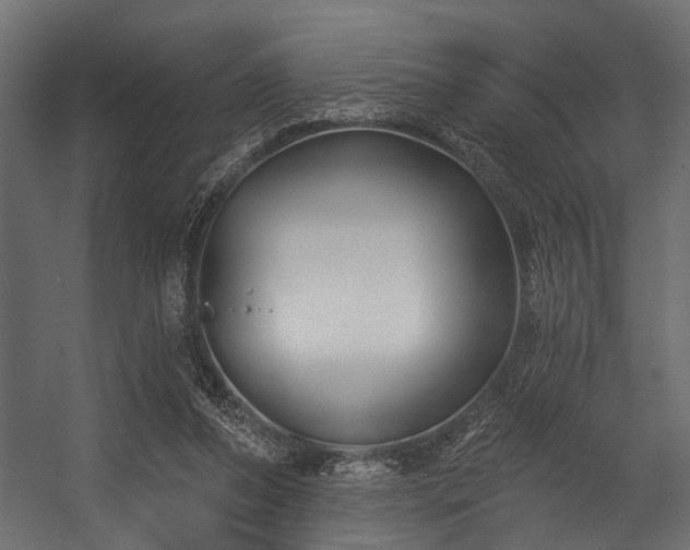 X0000054420208200508011406